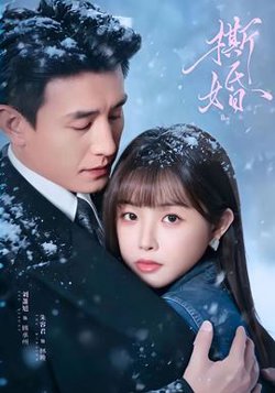 撕婚高清播放