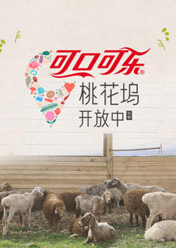 桃花坞开放中第4季在线观看