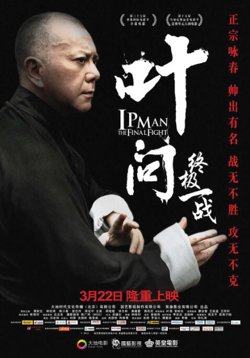 叶问:终极一战 粤语版