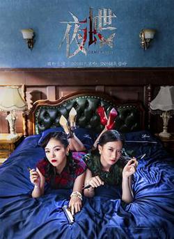 夜蝶高清播放