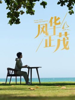 风华正茂2024在线观看