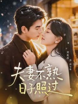 夫妻不熟，日子照过高清播放