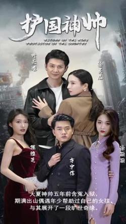 护国神帅在线观看