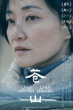 苍山[预告片]在线观看