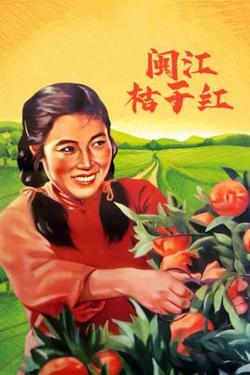 闽江桔子红在线观看