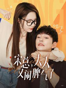 宋总，夫人又闹脾气了高清播放