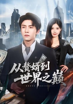 赘婿到世界之巅在线观看