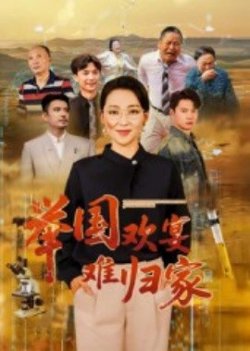 举国欢宴难归家高清播放