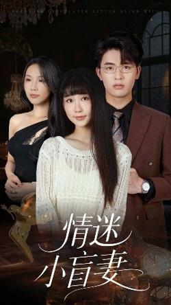 情迷小盲妻高清播放