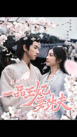 医倾天下：一品王妃要休夫在线观看