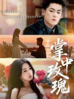 掌中玫瑰(逃离你拥抱你)