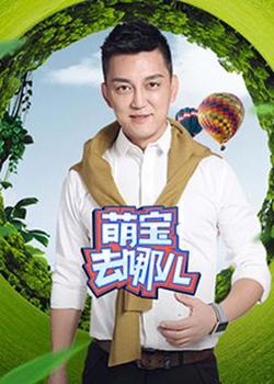 萌宝去哪儿在线观看