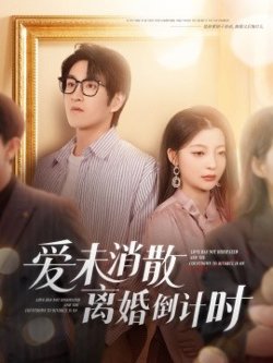 爱未消散离婚倒计时高清播放