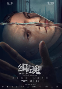 灵魂 2021在线观看
