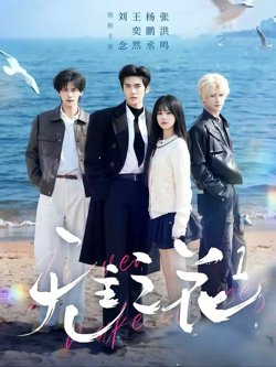 无主之花1高清播放