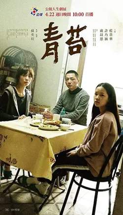 青苔【影视解说】高清播放