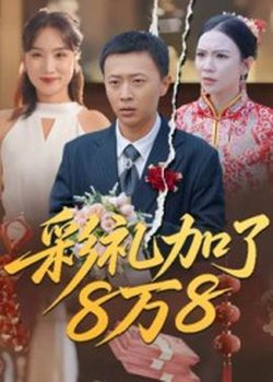 彩礼加了8万8在线观看