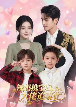 辣妈携宝归,大佬追妻忙