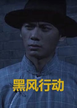 黑风行动在线观看