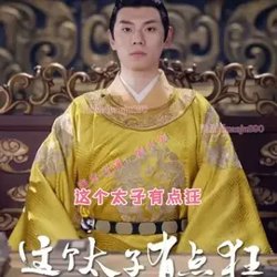 这个太子有点狂高清播放