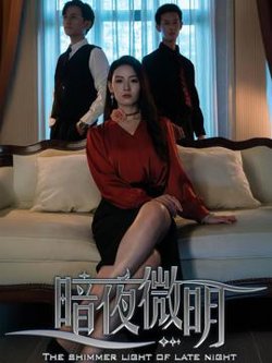 暗夜微明在线观看