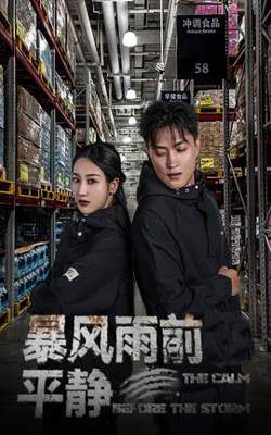 暴风雨前的平静高清播放