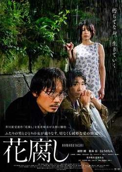腐花之雨高清播放