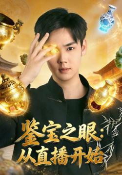 鉴宝之眼：从直播开始在线观看