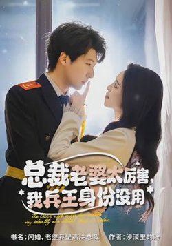 总裁老婆太厉害，我兵王身份没用在线观看