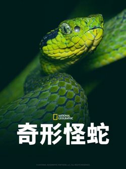 奇形怪蛇在线观看