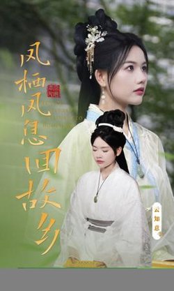 凤栖凤息回故乡在线观看