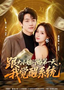 跟大小姐闪婚第一天，我觉醒系统高清播放
