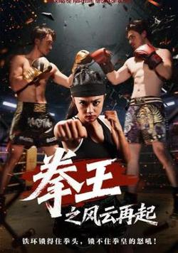 拳王之风云再起高清播放