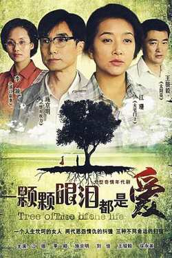 一颗颗眼泪都是爱高清播放
