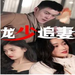 龙少追妻高清播放