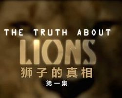 地平线系列：狮子的真相在线观看