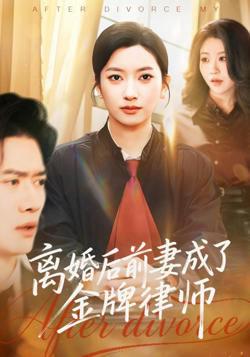 离婚后前妻成了金牌律师在线观看