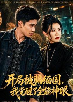 开局被骗缅国,我觉醒了全能神眼