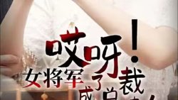 哎呀！女将军成了总裁夫人在线观看