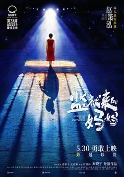 监狱来的妈妈[电影解说]高清播放