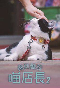他和她的喵店长2高清播放