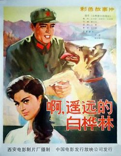 白桦林中的哨所高清播放
