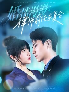 婚情漫漫，律师前任求复合在线观看