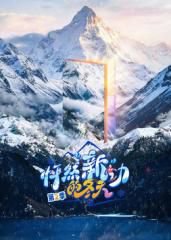 怦然新动的冬天第2季在线观看