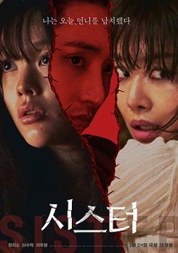 姐妹206【影视解说】在线观看