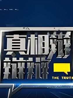 真相辩辩辩在线观看