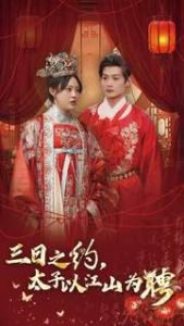 三日之约太子以江山为聘高清播放