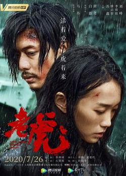 老虎高清播放