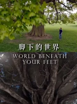 脚下的世界在线观看
