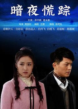 暗夜慌踪高清播放